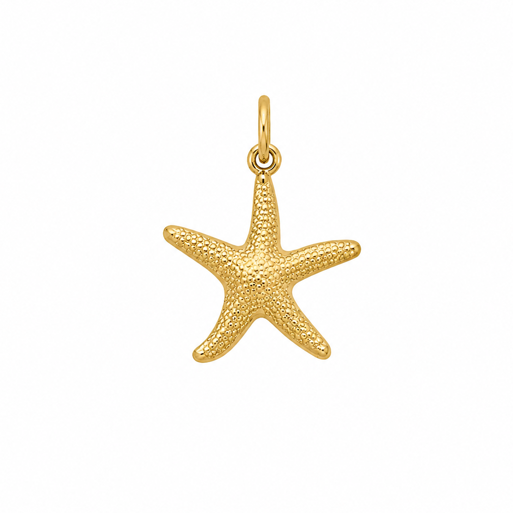 Gold sea star big charm
