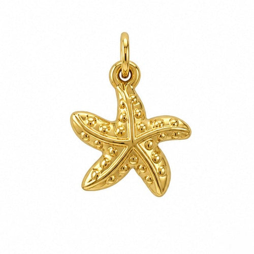Gold sea star chunky charm