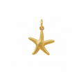 Gold sea star small charm